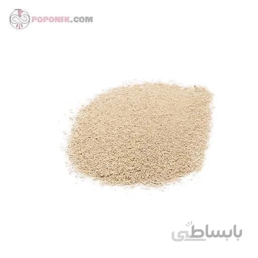 مایه خمیر