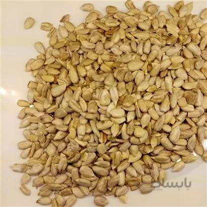 مغز تخمه 1کیلو خام