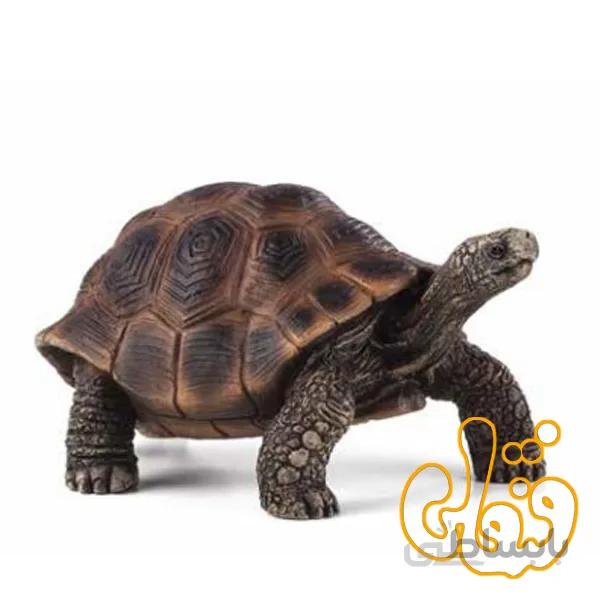 لاک پشت غول پیکر giant turtle 387259