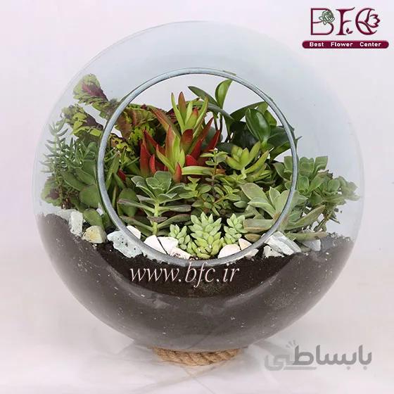 تراریم باغ شیشه ای