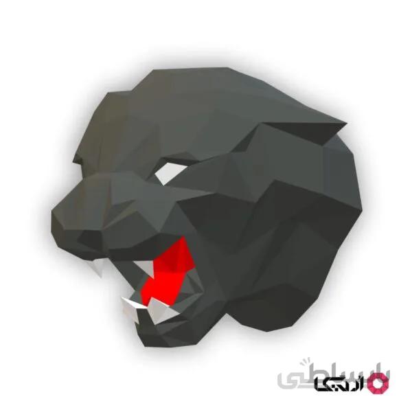 رانر