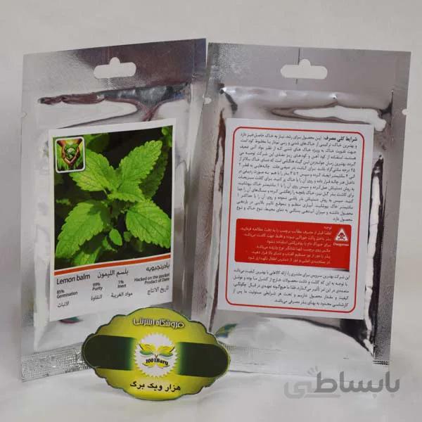 بذر بادرنجبویه