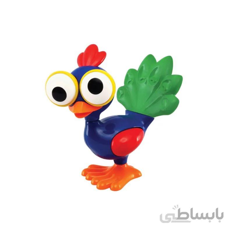 طاووس چشم گردان تولو Tolo