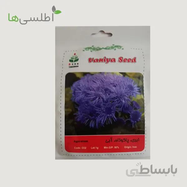 بذر ابری