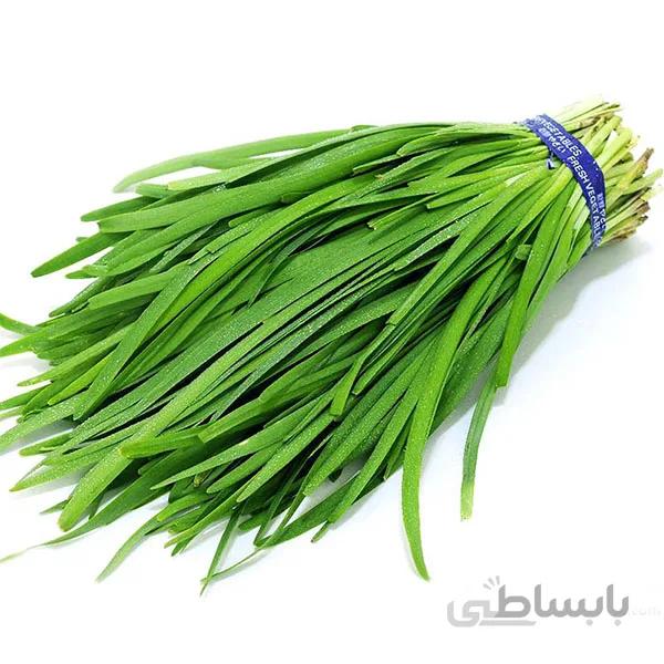بذر تره درجه 1
