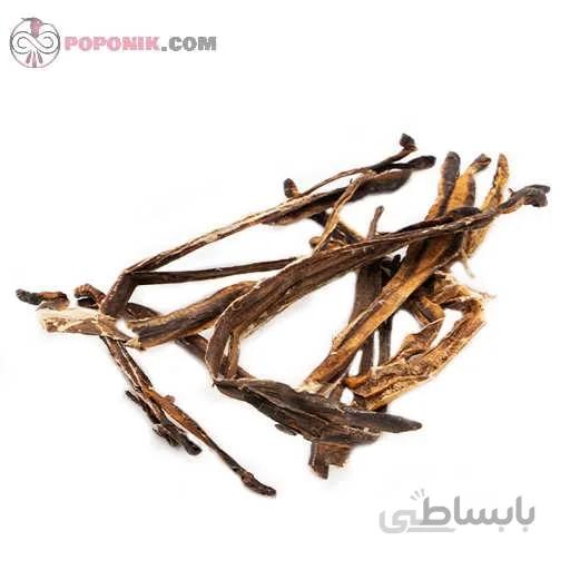 کرم خراطین