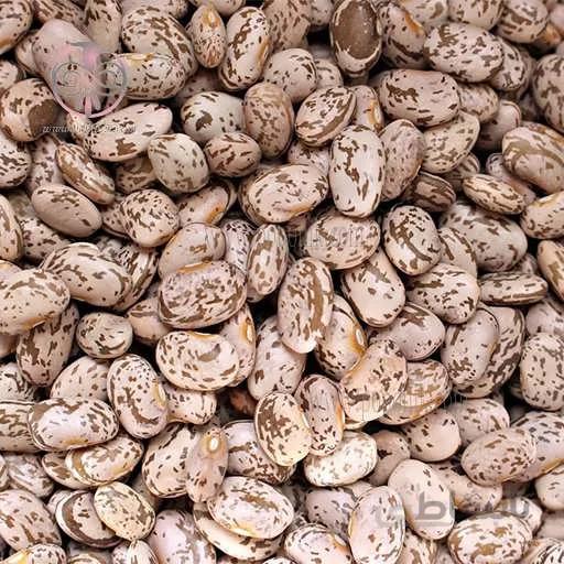 بذر لوبیا چیتی