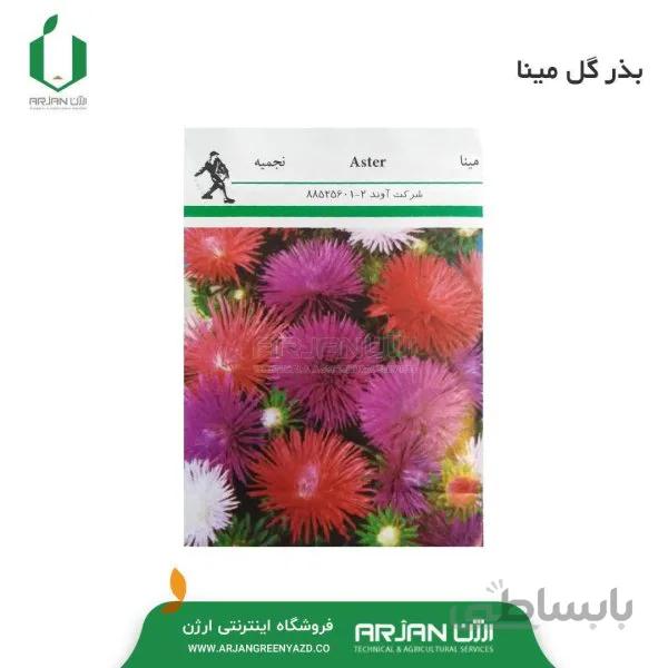بذر گل مینا