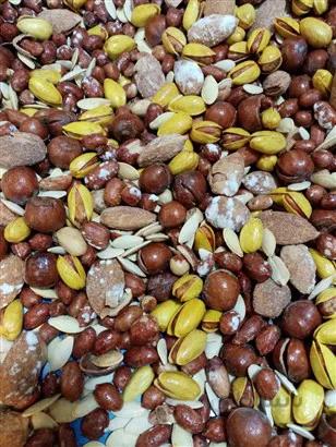 آجیل شور ممتاز 1000گرم