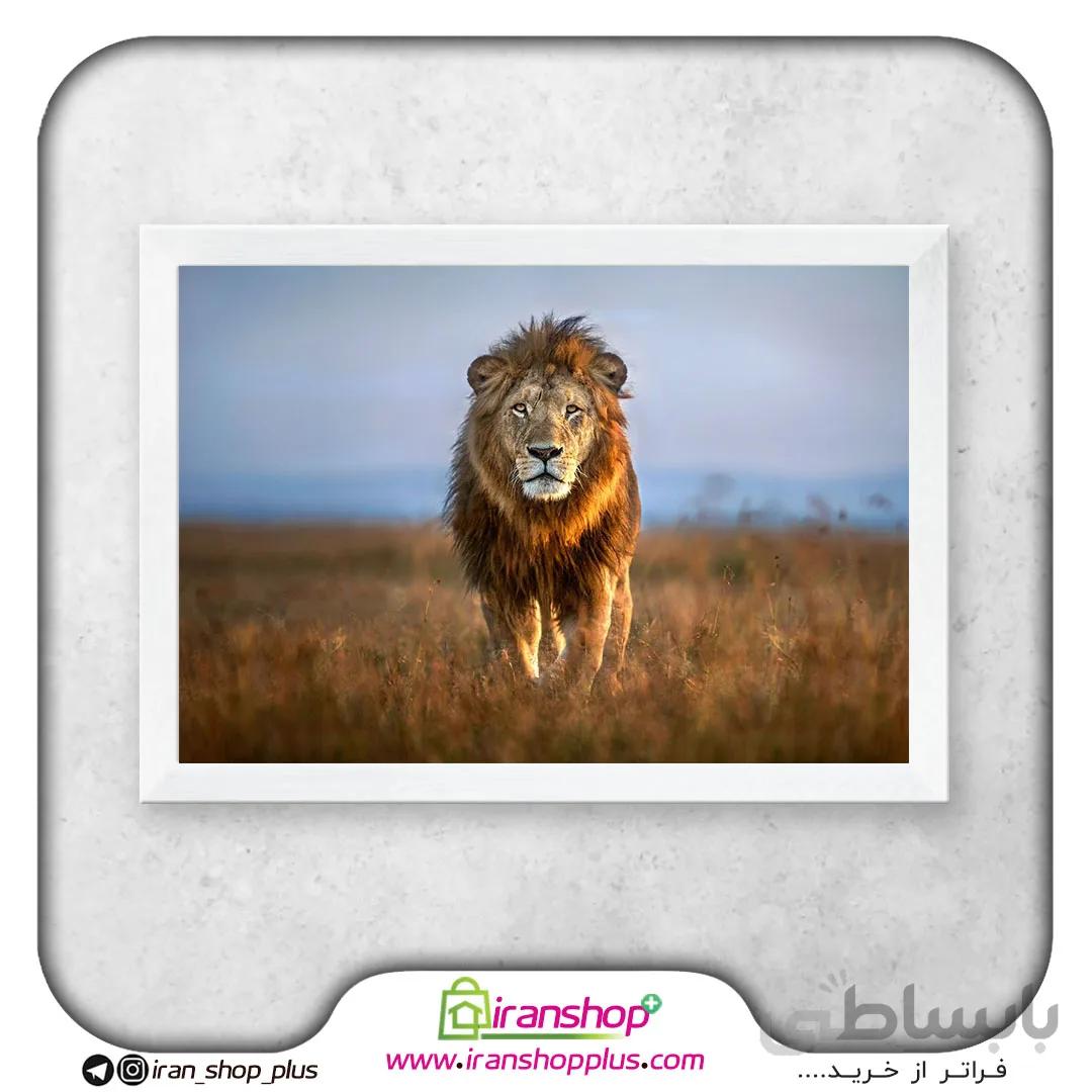 تابلو پوستر شیر The Lion Poster