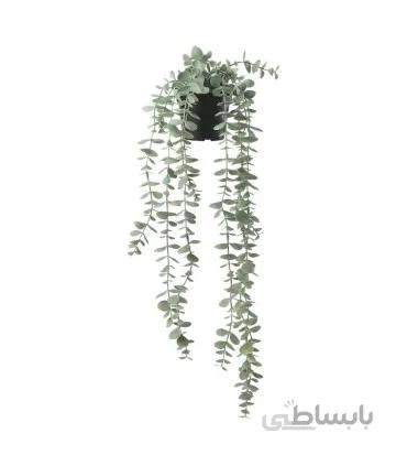 بوته آویز اکالیپتوس ایکیا مدل FEJKA
