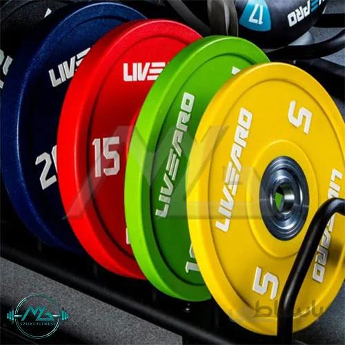 صفحه هالتر LIVEPRO مدل LP8021