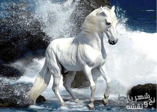 نخ و نقشه تابلو فرش طرح جدید اسب دونده کد j-150
