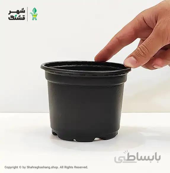 گلدان ژله ای سایز 12 پایه کوتاه (بسته 20 عددی)