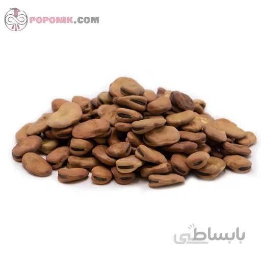 باقالی خشک شده