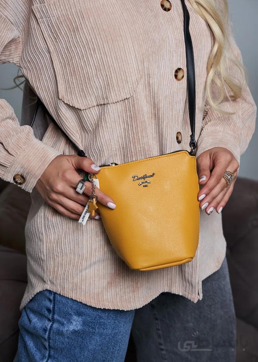 David Jones cm6071