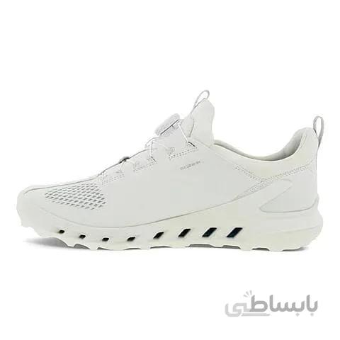 کفش مردانه اکو اصل مدل Ecco 2021 Biom Cool Pro GTX BOA