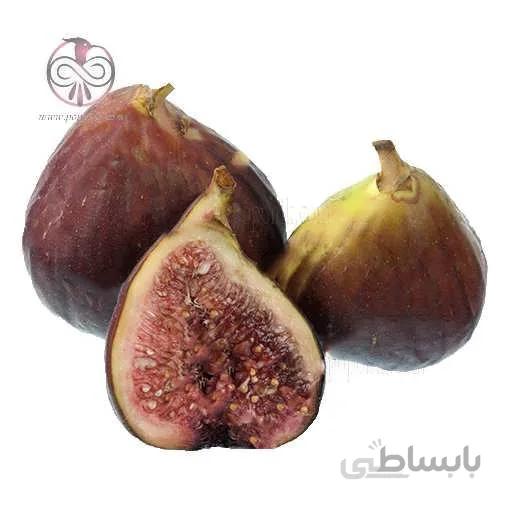 نهال انجیر ترک
