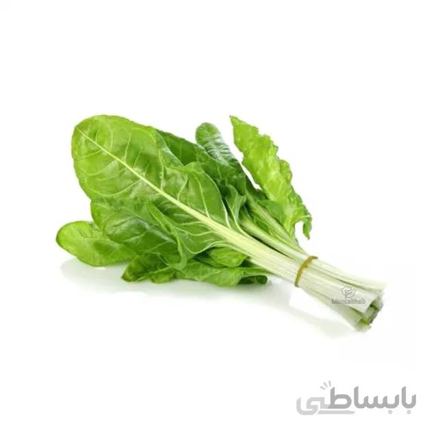 بذر برگ چغندر سفید