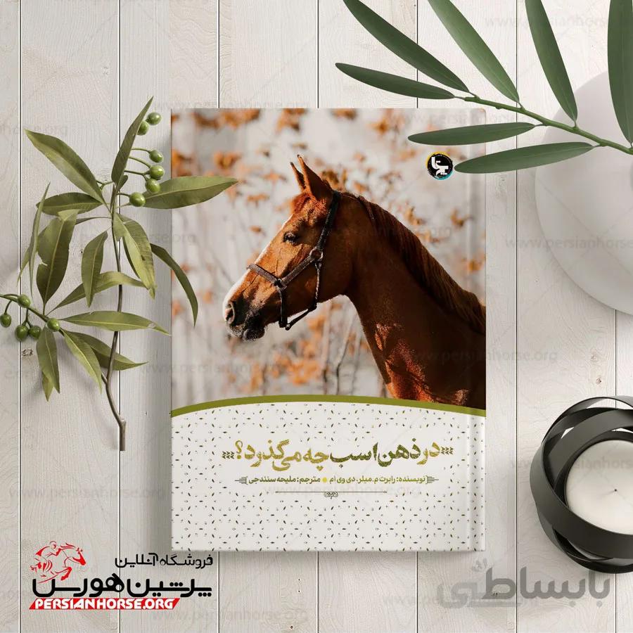 کتاب در ذهن اسب چه می گذرد؟