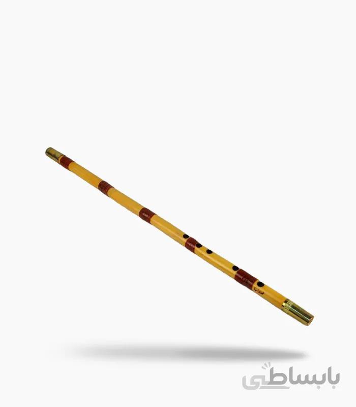 نی ناصری نیا