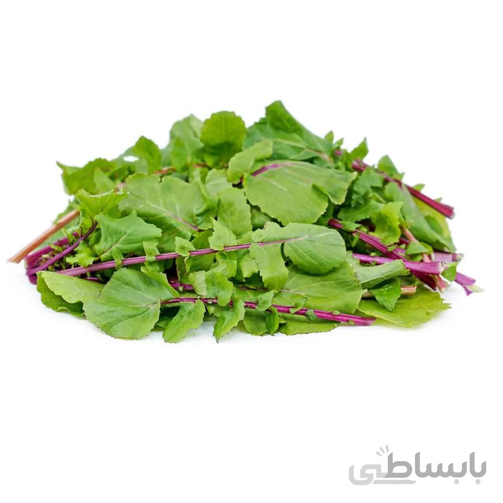 بذر برگ تربچه