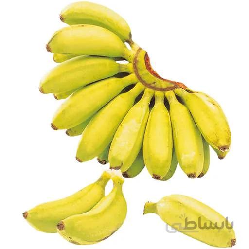 بذر درخت موز هاردی