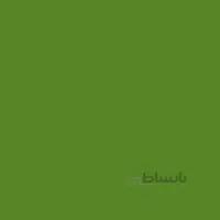 رنگ روغن 37ml وستا Sap Green (37) -1012