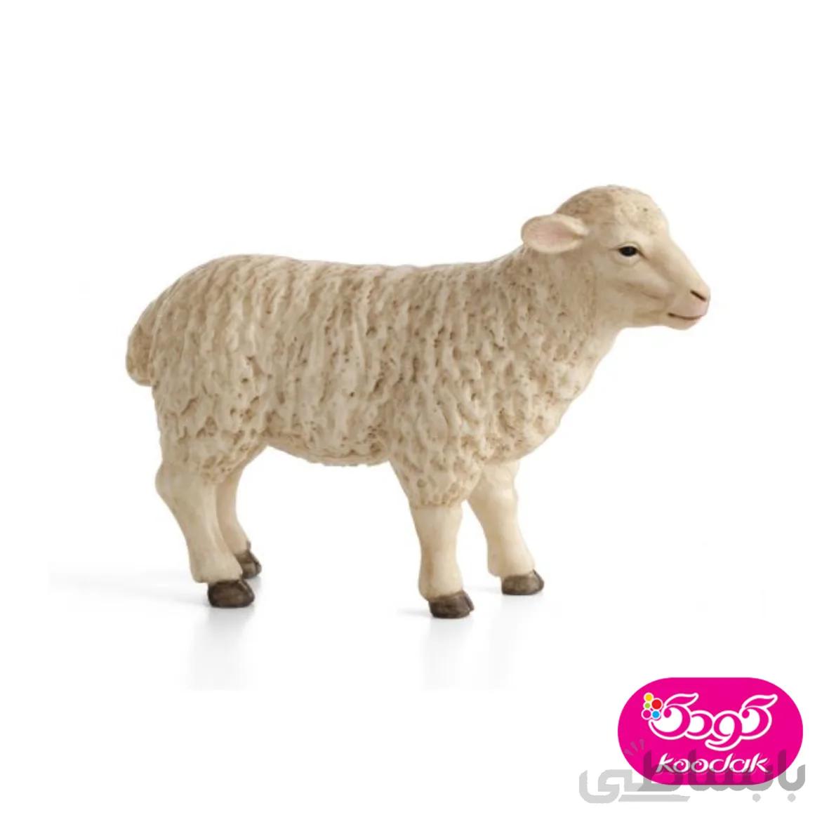 گوسفند 387096 – حیوانات موجو