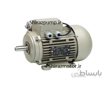 الکتروموتور 2 اسب 1500 دور تک فاز الکتروژن رله