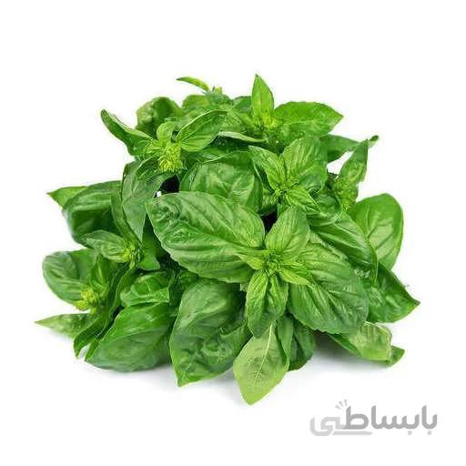 بذر ریحان مقدس