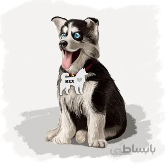 اویز قلاده استیل طرح سگ بزرگ کد CD R 08 ا Steel Tag Dog Breed Model CD-R-08