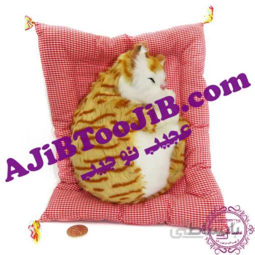 گربه ناز خوابیده روی تشک موزیکال (سایز بزرگ)