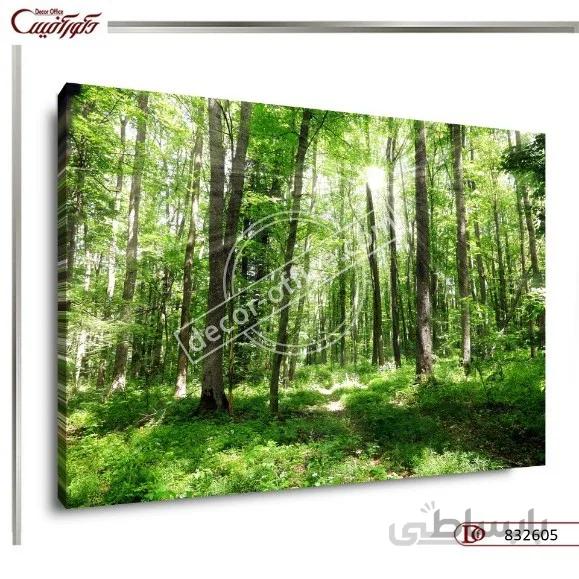تابلو دیواری طبیعت 2605 ا Nature wall paintings 2605