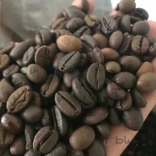 دان قهوه فول کافئین(روما 100% ربستا)