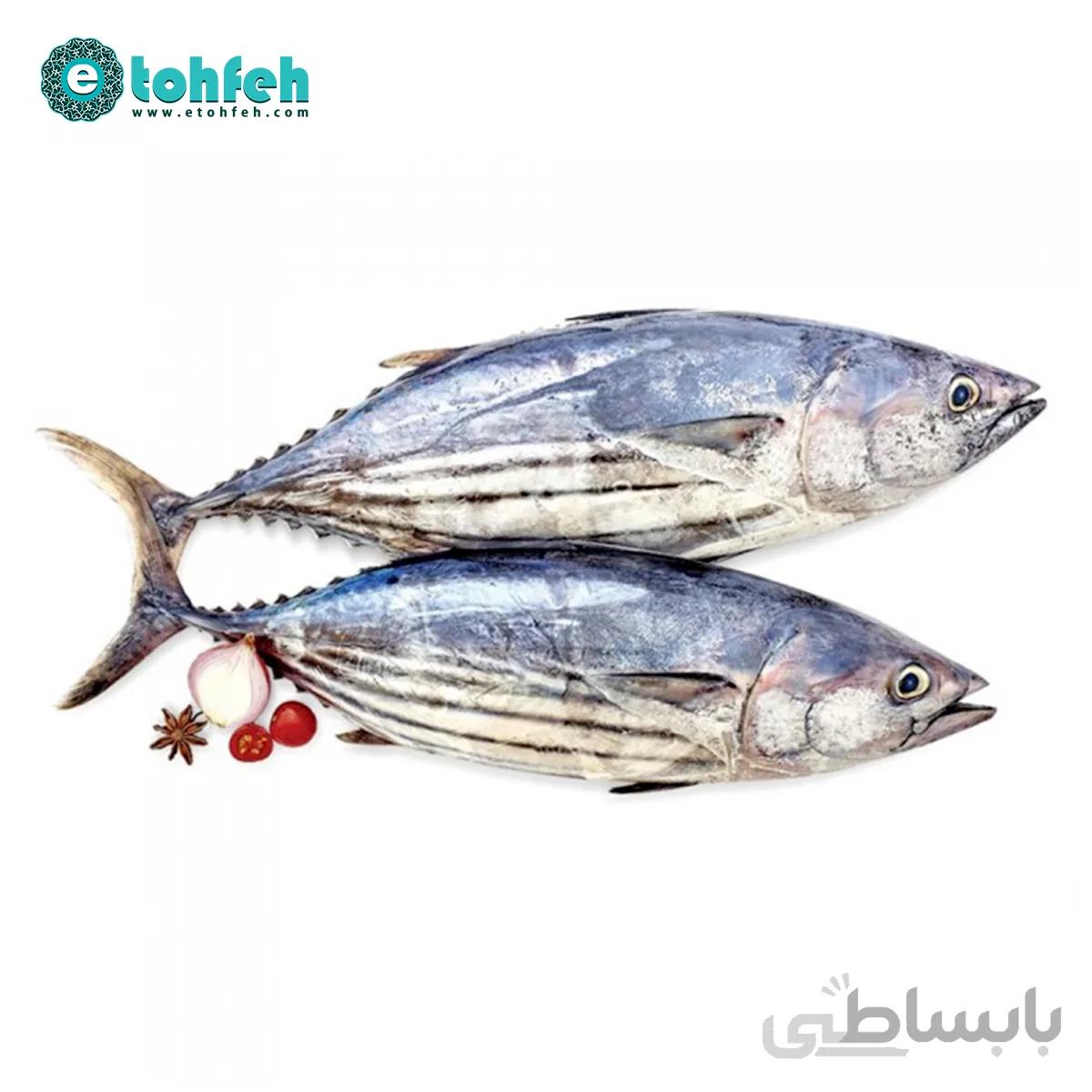 ماهی هوور (تن)