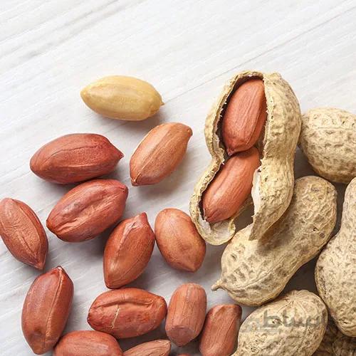 بذر بادام زمینی