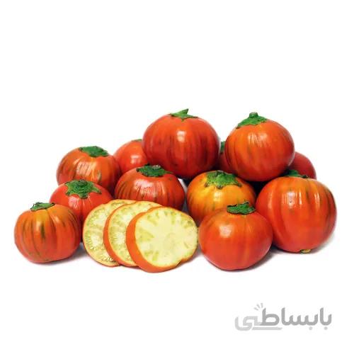 بذر بادمجان نارنجی گلدانی (بادمجان ترکی)