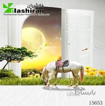 بکگراند (فون) ۱۵۶۵۳