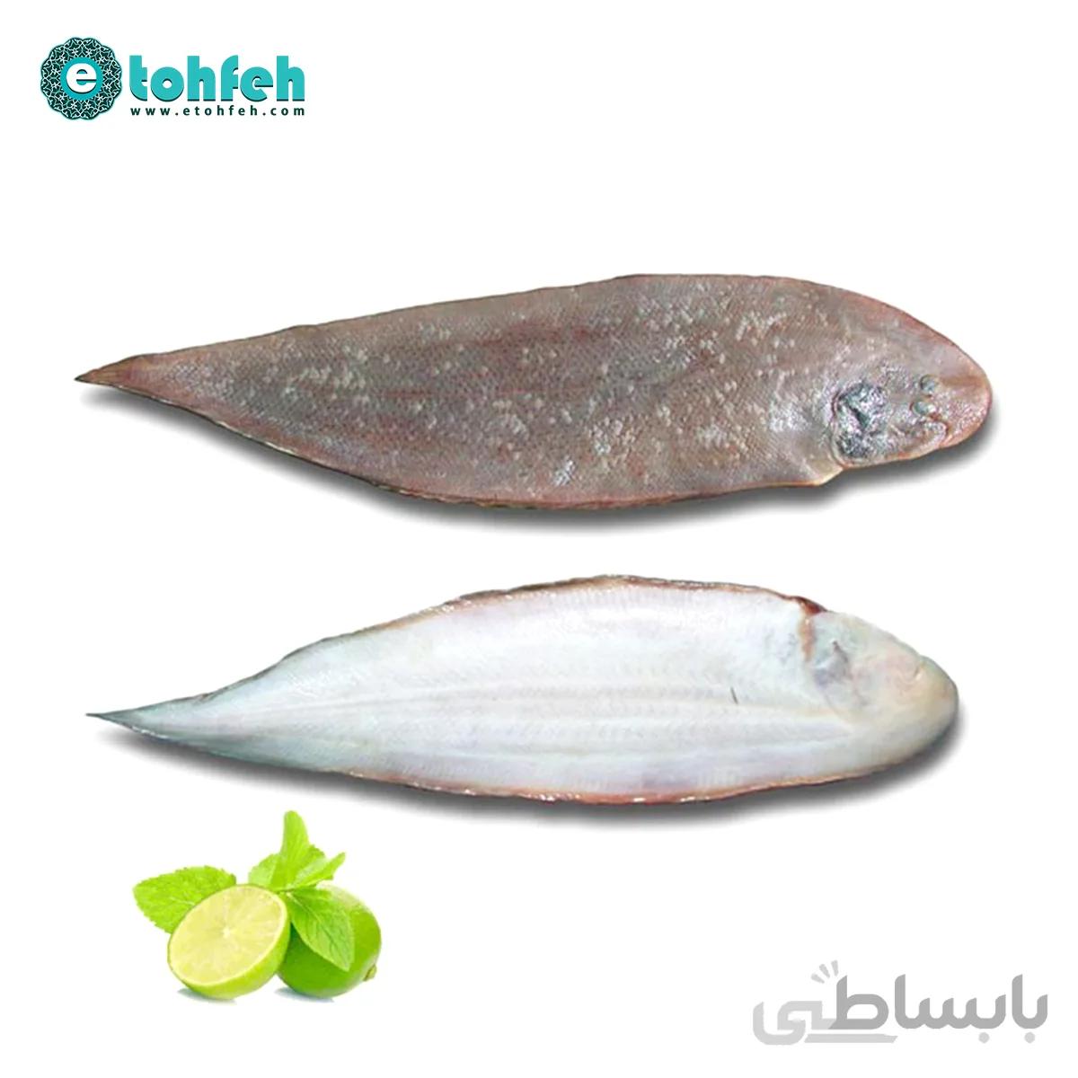 ماهی زبان