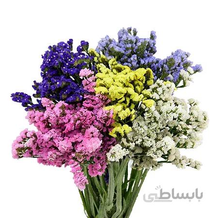 بذر استاتیس (لیمونیوم)، پابلند، الوان بسته 2 گرمی