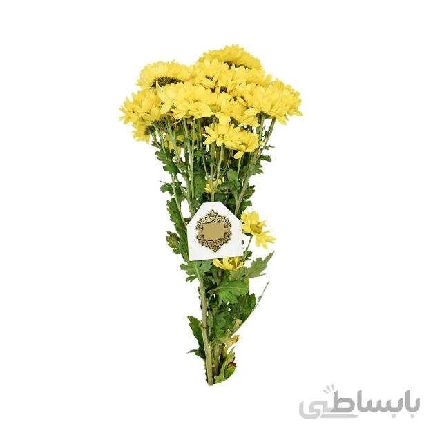 گل داوودی شاخه ای