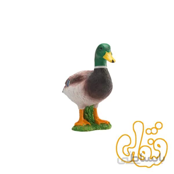 اردک وحشی Mallard Duck 387127