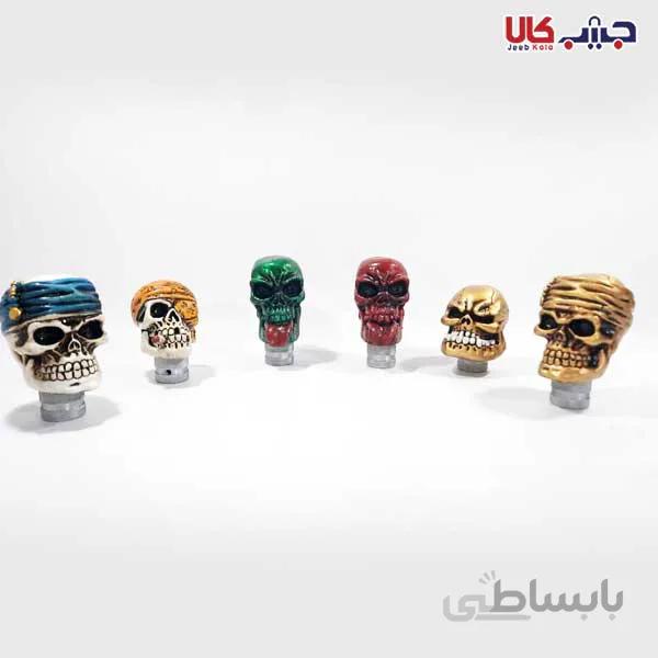 سردنده اسکلت