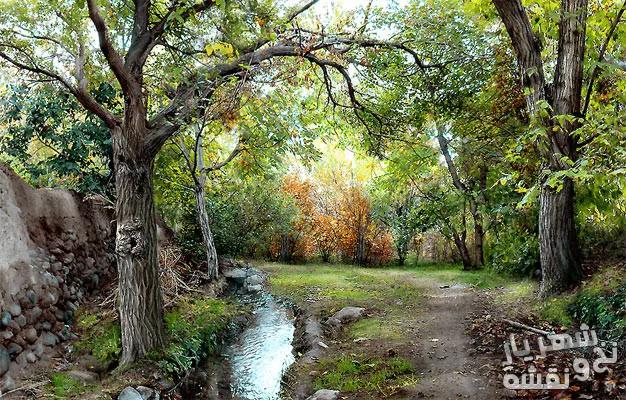 قیمت نخ و نقشه تابلو فرش تبریز طرح منظره کوچه باغ زیبا کد j-171