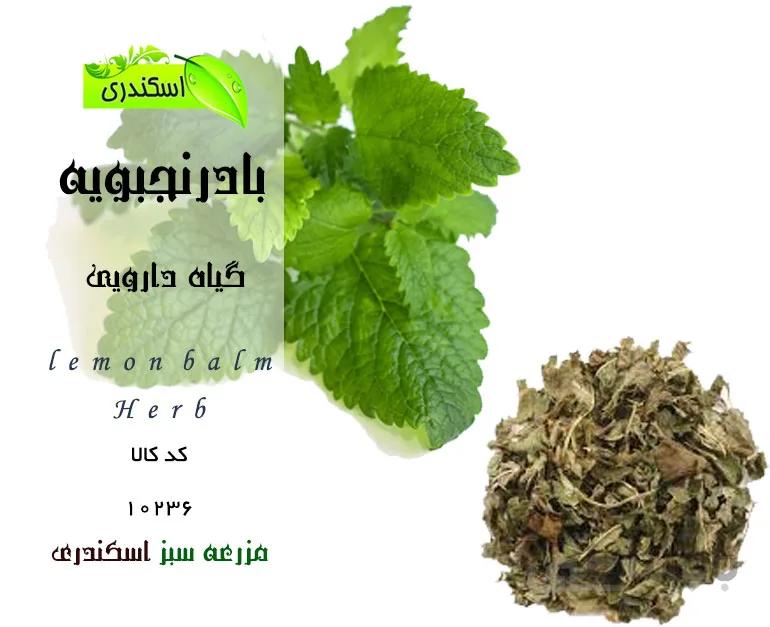 بادرنجبویه