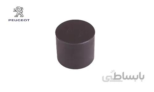 استکان تایپیت پژو 405