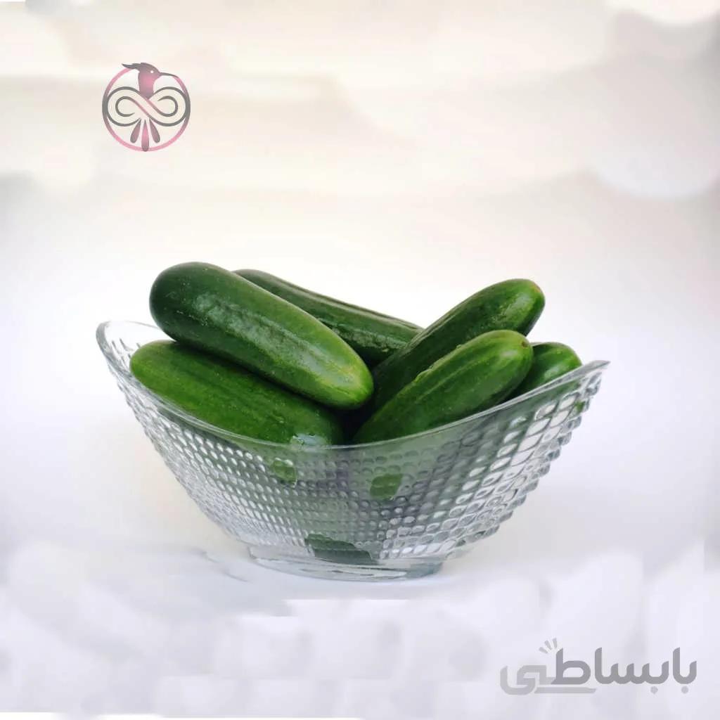 بذر خیار جالیز اصفهان (غیر درختی)
