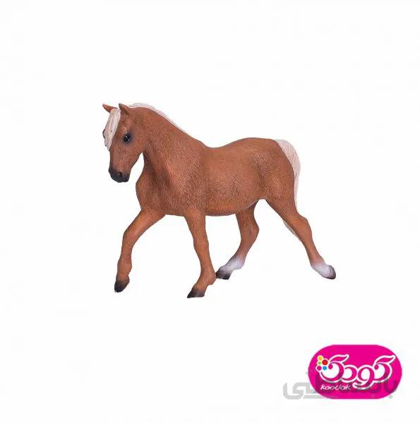 اسب مورگان 387395 – حیوانات موجو