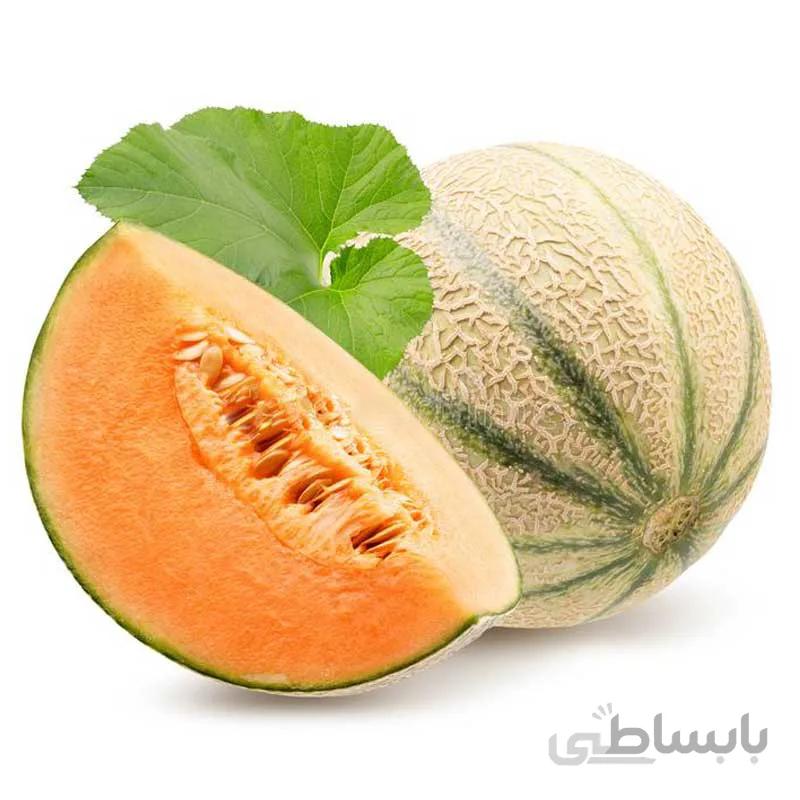 بذر ملون هیبرید گاتسا هلندی بسته 10 عددی